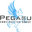 Pegasus Construction Group Inc