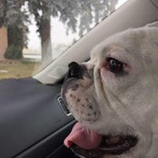 Cody Silvester's photo