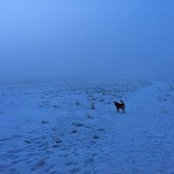 Jim Bauch's photo