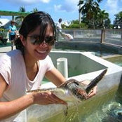 Tuyet Ha Nguyen's photo