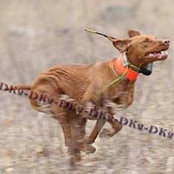 Jeff Zenas's photo