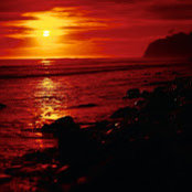 David Woolery's photo