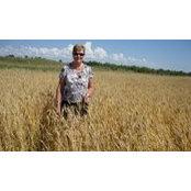 Doris Sorensens billede