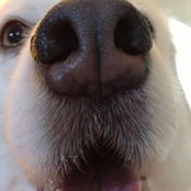 Linda Gatti's photo