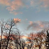 Richard Tanzer's photo