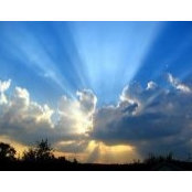 Felton Sessoms's photo