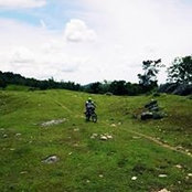 Jeanette Saluba's photo