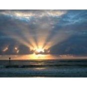 Deanna Janis's photo
