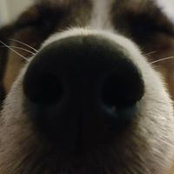 Marian DeAngelo's photo