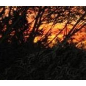 Mark Lane's photo