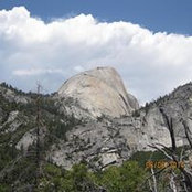 Carrie Pitt's photo