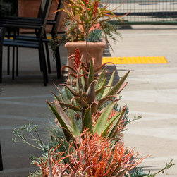 Sonos Headquarters, Santa Barbara, CA - Outdoor Products