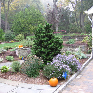 Natural Wall & Walkway Yard Renovation