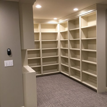 Basement Renovation (Edinburgh in Suwanee)