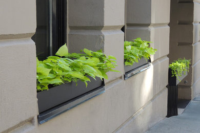 Contemporary Window Boxes