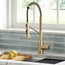 Bolden Commercial Pull-Down 1-Handle Kitchen Filter Faucet, 3-Function, SFACB