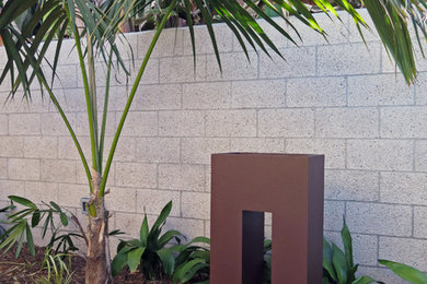 Photo of a tropical landscaping in San Diego.