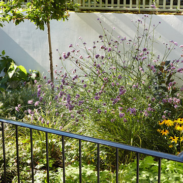 Fulham garden