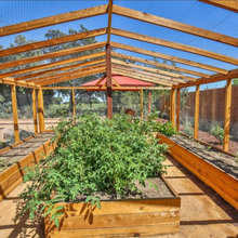 Vegetable Garden