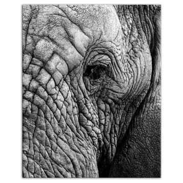 Elephant Face Print on Canvas
