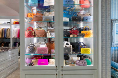 Walk-in closet - large transitional women's carpeted walk-in closet idea in Dallas with blue cabinets