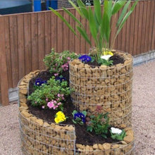 Landscape Ideas