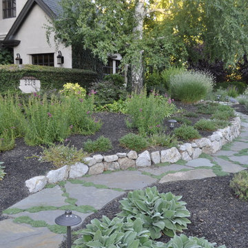 Drought Tolerant 1