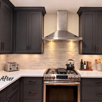 LaVista Open-Concept Kitchen Renovation
