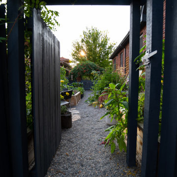 Edible Eden Side Yard