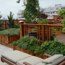 Patio Ideas