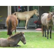 Joyce Lance's photo