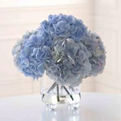 Rhonda Lynne's photo