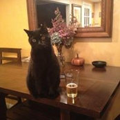 Photo de Janet DiBiase Cormier
