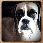Shelley Bates's photo