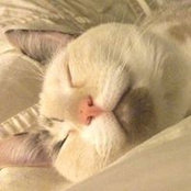 Anne Blake's photo