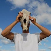 David Avelin's photo