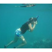 Lisa Springgate's photo