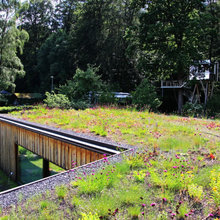 Mit Dachbegrünung der Natur ein Stück Land zurückgeben