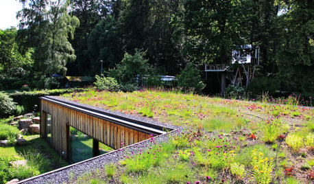 Mit Dachbegrünung der Natur ein Stück Land zurückgeben