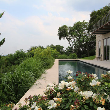 Austin Residence 2