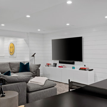 Basement Living Space