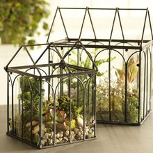 terrariums