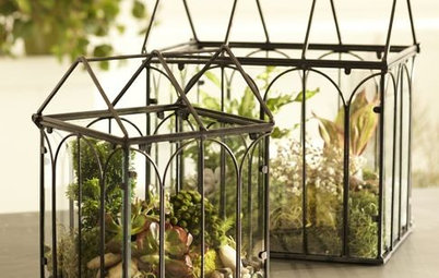12 Gifts for Green Thumbs