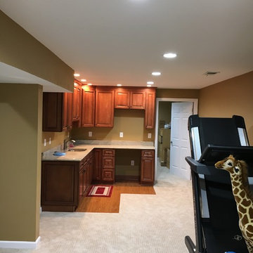 Basement Remodel