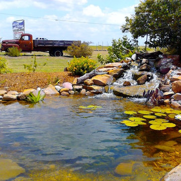 Ecosystem Ponds, Water Garden Ideas for Your Austin, Central Texas Landscape