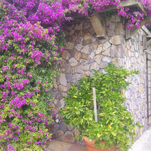 Garage Facade