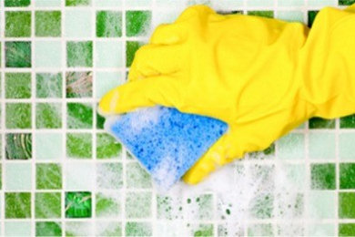 All-Natural, Eco-Friendly, Green Cleaning & Janitorial Products