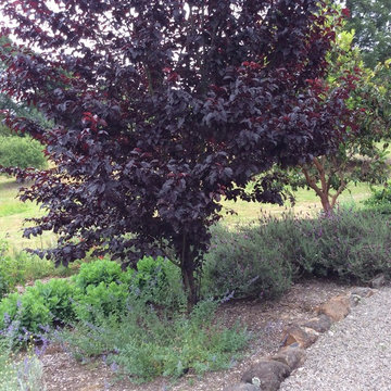 Sebastopol Retreat