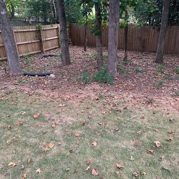 Drainage Issues/Dry Riverbed