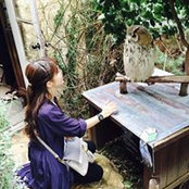 橋爪めぐみs foto
